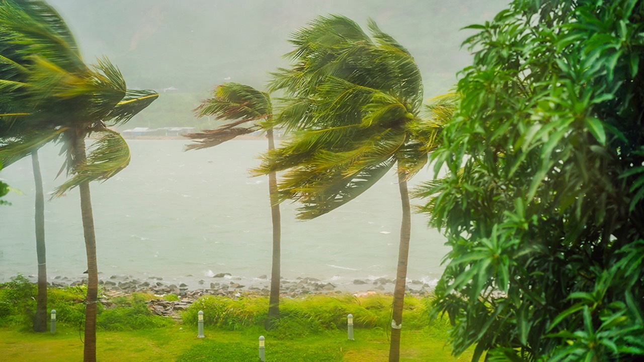 Storm Winds