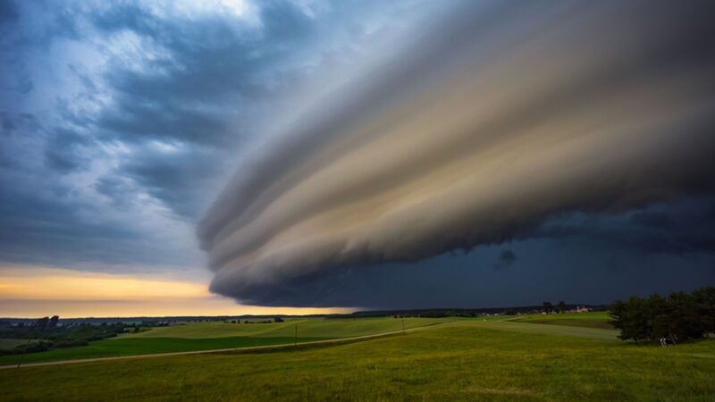 FEMA 5 WD Strong Weather